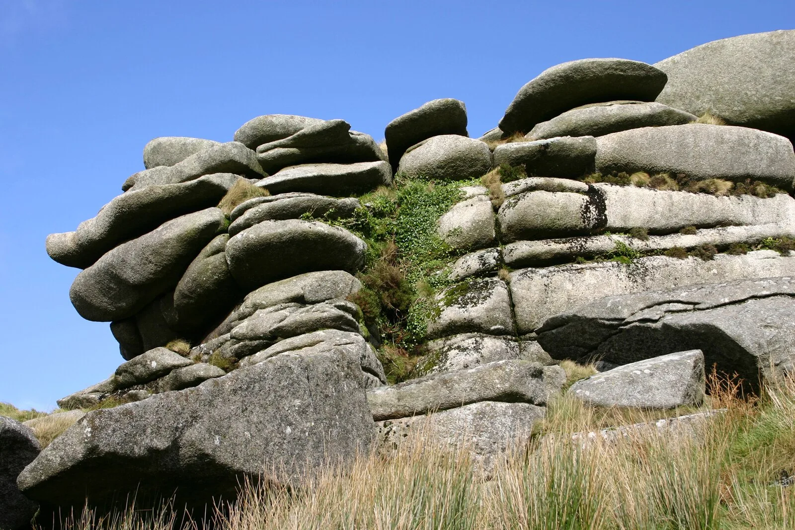 Rough Tor